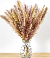 natural wheat 40 pampass flowers decoration логотип