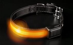 img 2 attached to 🐶 Brite Strike LPCSU Orange Rechargeable LED Dog Collar - Enhance Dog Visibility in the Dark, Large Size, Orange