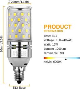 img 3 attached to BHCH Incandescent Equivalent Daylight Non Dimmable Industrial Electrical