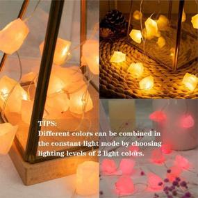 img 1 attached to 🌹 Natural Rose Quartz Crystal String Lights 6.5FT 20 LEDs - USB & Battery Powered Fairy Lights with Remote - Raw Stone Gem Decor Night Light for Indoor/Outdoor, Wedding, Birthday Party, Bedroom - KAiSnova