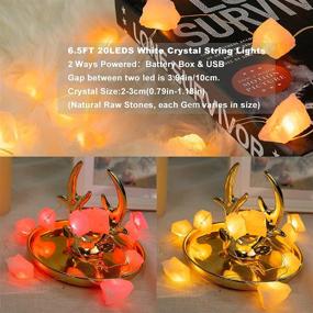 img 2 attached to 🌹 Natural Rose Quartz Crystal String Lights 6.5FT 20 LEDs - USB & Battery Powered Fairy Lights with Remote - Raw Stone Gem Decor Night Light for Indoor/Outdoor, Wedding, Birthday Party, Bedroom - KAiSnova