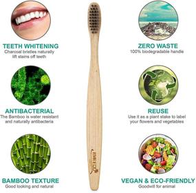 img 2 attached to EveEco Bamboo Toothbrush: 4 Count I Soft Bristles I Best for Sensitive Gums I Charcoal Infused I Vegan I Natural Wood I BPA Free I Recyclable I Compostable I Biodegradable