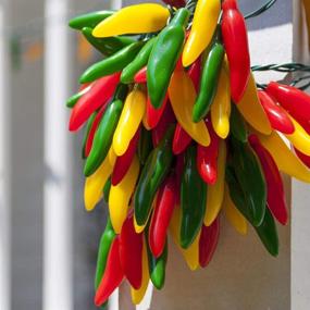 img 2 attached to 🌶️ Multicolor Chili Pepper String Lights - Goothy Christmas Lights with Warm White - 35 Connectable Chili Pepper Lights - 13.6Ft UL Listed for Outdoor Indoor Kitchen Patio Christmas Decor Lighting