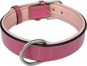 img 1 attached to 🐶 Premium Padded Dog Collar: Soft Touch Collars Capri Collection - Genuine Leather Luxury for Dogs