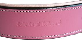 img 2 attached to 🐶 Premium Padded Dog Collar: Soft Touch Collars Capri Collection - Genuine Leather Luxury for Dogs