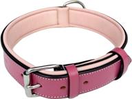 🐶 premium padded dog collar: soft touch collars capri collection - genuine leather luxury for dogs logo