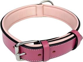 img 4 attached to 🐶 Premium Padded Dog Collar: Soft Touch Collars Capri Collection - Genuine Leather Luxury for Dogs