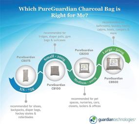 img 2 attached to 🌬️ Guardian Technologies CB2006PK Pure Guardian Bamboo Charcoal Air Purifier Bags: Eco-Friendly, Naturally Eliminate Odors, Moisture, Pollutants - 6-pack (200g each, Gray)