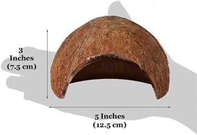 img 1 attached to 🥥 🌴 Сырой кокосовый джор-пещера: идеальное место для укрытия плеко рыб и аквариумных питомцев