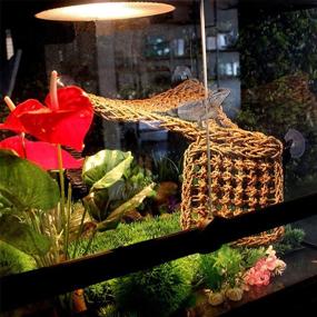 img 3 attached to Bearded Dragon Hammock - Seagrass Habitat Reptile Tank Accessories with Climbing Vines, Flexible Leaves Decor for Lizards, Chameleons, Hermit Crabs, Geckos, Snakes
