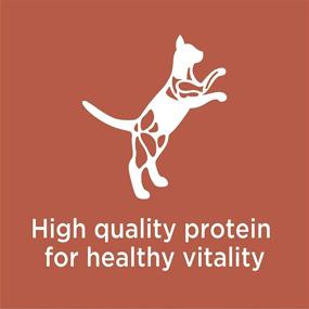 img 1 attached to 🐱 IAMS PROACTIVE HEALTH Chicken & Salmon High Protein Dry Cat Kibble