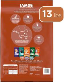 img 3 attached to 🐱 IAMS PROACTIVE HEALTH Chicken & Salmon High Protein Dry Cat Kibble