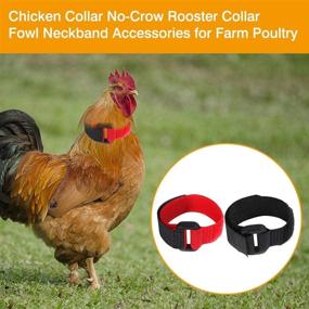 img 3 attached to 🔇 Silence and Peace: Noise-Free Upgrade Anti Crow Rooster Collar - 6 Pieces