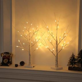 img 3 attached to White Birch Tree Lighted Warm White LED Artificial Branch Tabletop Fairy Tree Light: Perfect Home Party, Festival, Wedding, Thanksgiving & Christmas Decorations - 24” 2FT 24LED-2PCS