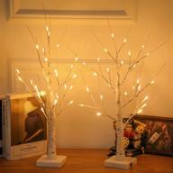 white birch tree lighted warm white led artificial branch tabletop fairy tree light: perfect home party, festival, wedding, thanksgiving & christmas decorations - 24” 2ft 24led-2pcs логотип