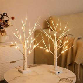 img 2 attached to White Birch Tree Lighted Warm White LED Artificial Branch Tabletop Fairy Tree Light: Perfect Home Party, Festival, Wedding, Thanksgiving & Christmas Decorations - 24” 2FT 24LED-2PCS