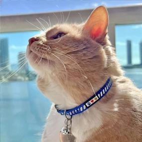 img 3 attached to 🐾 Pawtitas Pet Traffic Reflective Cat Collar: The Ultimate Safety Solution with Safety Buckle and Removable Bell