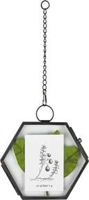 img 4 attached to Modern Geometric Hexagon Glass Frame - Stylish Wall Hanging for Artwork, Photos, and Certificates