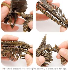 img 2 attached to 🦖 Dinosaur Skeleton Assembly Festival Birthday: Unleash Your Inner Paleontologist!