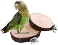 keersi wooden perch stand toy for pet bird parrot, budgie, 🐦 cockatiel, conure, lovebird, finch, canary, hamster, gerbil, rat, chinchilla, squirrel - cage platform logo