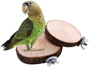 img 4 attached to Keersi Wooden Perch Stand Toy for Pet Bird Parrot, Budgie, 🐦 Cockatiel, Conure, Lovebird, Finch, Canary, Hamster, Gerbil, Rat, Chinchilla, Squirrel - Cage Platform