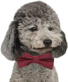 img 3 attached to 🐾 Handcrafted Pet Bow Tie - Adjustable Neck Tie, Fashion Polka Dots Bowtie Dog Collar Necktie Kitty Puppy Grooming Accessories for Doggie Cat Pack of 6, Multi-Colored, 10"-17