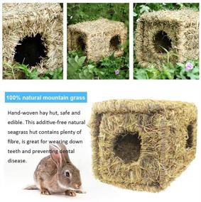 img 1 attached to 🏡 Premium Grass House for Rabbit - Hand-Woven Seagrass Hay Hut for Cozy Hideaway, Foldable Rabbit Toy for Bunny, Guinea Pigs & Small Animals