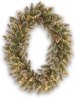 21-inch national tree company pre-lit artificial christmas oval wreath – green glitter bristle pine with white lights, pine cones, frosted branches – christmas collection logo