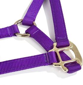 img 2 attached to Intrepid International Nylon Miniature Horse Halter: Durable and Lightweight for Optimal Comfort and Control
