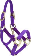 intrepid international nylon miniature horse halter: durable and lightweight for optimal comfort and control logo