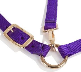 img 3 attached to Intrepid International Nylon Miniature Horse Halter: Durable and Lightweight for Optimal Comfort and Control
