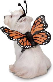 img 3 attached to 🦋 Zack & Zoey Large Glow-in-the-Dark Butterfly Harness Costume for Dogs