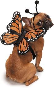 img 4 attached to 🦋 Zack & Zoey Large Glow-in-the-Dark Butterfly Harness Costume for Dogs