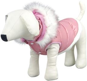 img 2 attached to 👑 NACOCO Teddy Dog Clothes: Winter Cotton-Padded Jacket with Hood, The Perfect Princess Model!