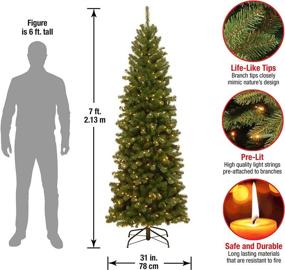 img 2 attached to 🎄 National Tree Company Pre-Lit Artificial Slim Christmas Tree: 7ft North Valley Spruce in Green with White Lights & Stand
