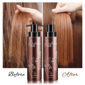 img 2 attached to 🌿 Sulfate-Free Organic Moroccan Argan Oil Shampoo and Conditioner for Damaged, Dry, Curly, and Frizzy Hair - Moisturizing and Volumizing Formula for Daily Use, Ideal for Men and Women's Gentle Hair Restoration