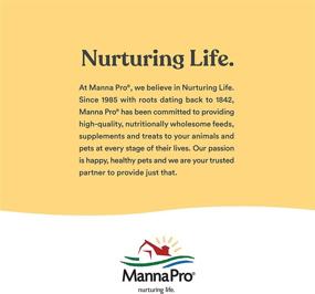 img 2 attached to Manna Pro Colostrum Supplement: Vital Vitamins & Minerals for Healthy Development in Newborn Goat Kids - 16oz