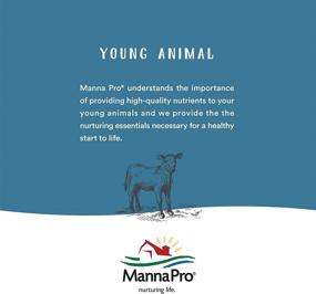 img 1 attached to Manna Pro Colostrum Supplement: Vital Vitamins & Minerals for Healthy Development in Newborn Goat Kids - 16oz