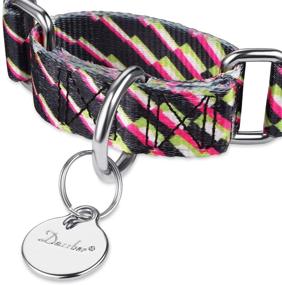 img 2 attached to 🐶 Dazzber Silky Plaid Soft Slip and Martingale Dog Collar - Premium, No-Pull Pet Collar with Colorful Patterns for Medium and Large Dogs