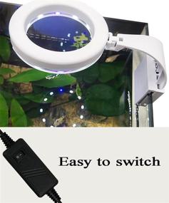 img 2 attached to Enhance Your Small Fish Tank with GVOREE Round Aquarium LED Light: 5W Clip-on Light for Aquatic Plants (White Body + Blue Light)