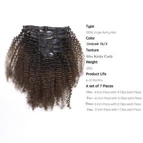 img 3 attached to 🌺 Lacerhair 4A 4B Afro Kinky Curly Ombre Наращивание волос: прямые косички с двойным вшитием, 100% настоящих волос Реми двух оттенков - натурально черный к темно-коричневому 1В/4, 12 дюймов, 120 г.