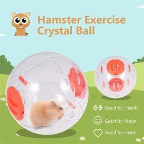 img 1 attached to Hamster Running Exercise Crystal Accessories