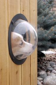 img 3 attached to 🐶 Enhance Your Pet's World with PetPeek Fence Window for Pets