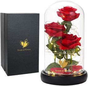 img 4 attached to 🌹 Beauty and The Beast Rose Flowers: Christmas Rose Gift Decorations with Preserved Roses, Artificial Flower Rose Gift, Led Light String Included - Unique Gift for Her on Thanksgiving, Valentines Day, and Anniversary