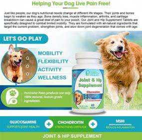 img 1 attached to 🐾 Particular Paws Glucosamine for Dogs: Advanced Joint and Hip Supplement with MSM, Chondroitin, Vitamin C & E, Hyaluronic Acid, Omega 3 & Omega 6-60 Chewable Tablets