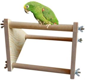 img 4 attached to Wooden Bird Perch Stand for Parrots - Macaw, African 🐦 Greys, Budgies, Parakeet, Cockatiel, Cockatoo, Conure, Lovebird - Table Training Perch Toy