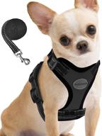 🐾 avccava dog harness: breathable mesh vest for puppies & small dogs | cat harness & leash for walking control | adjustable & reflective kitten escape proof design logo