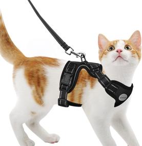 img 3 attached to 🐾 AVCCAVA Dog Harness: Breathable Mesh Vest for Puppies & Small Dogs | Cat Harness & Leash for Walking Control | Adjustable & Reflective Kitten Escape Proof Design