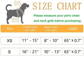 img 1 attached to 🐾 AVCCAVA Dog Harness: Breathable Mesh Vest for Puppies & Small Dogs | Cat Harness & Leash for Walking Control | Adjustable & Reflective Kitten Escape Proof Design