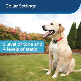 img 1 attached to 🚧 Invisible Fence Brand's PetSafe In-Ground Fence for Dogs and Cats - Wireless Boundary System (Boundary Wire Not Included) - Choose Your Wire Gauge Individually